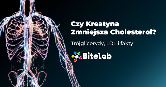 Czy kreatyna zmniejsza cholesterol? Trójglicerydy, LDL i fakty