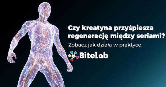 Czy kreatyna przyspiesza regenerację między seriami?