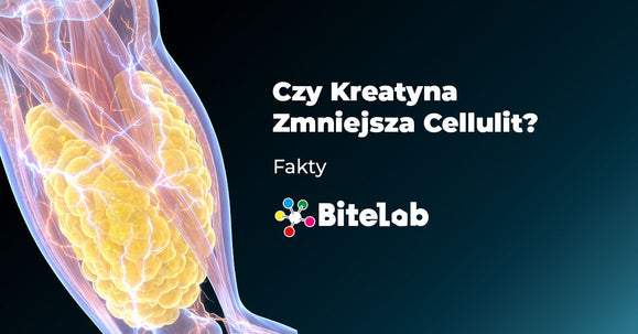 Czy kreatyna zmniejsza cellulit?