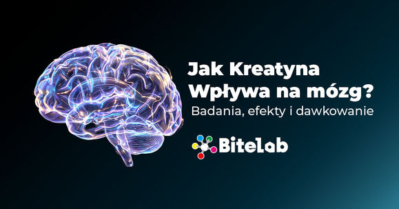 Jak-Kreatyna-Wpływa-Na-mózg