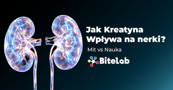 Jak kreatyna działa na nerki? Mit vs nauka