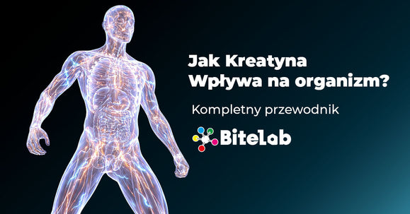 Jak kreatyna wpływa na organizm? Kompletny przewodnik