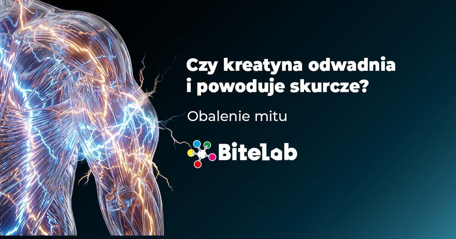 Czy kreatyna odwadnia i powoduje skurcze?