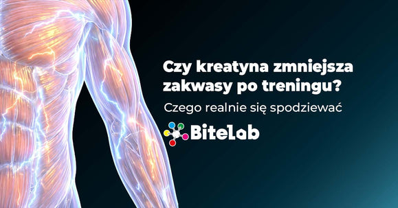 Czy kreatyna zmniejsza zakwasy po treningu?