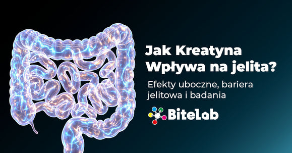 Jak kreatyna wpływa na jelita? Efekty uboczne, bariera jelitowa i badania