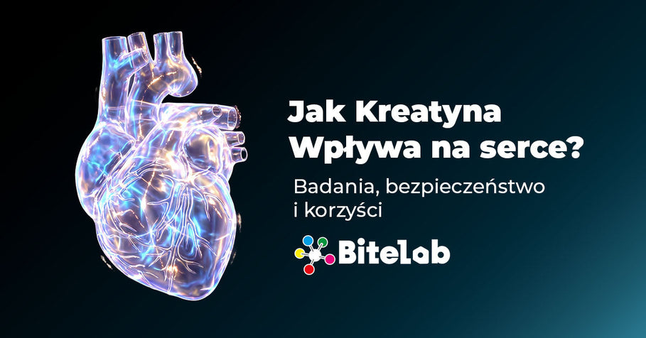 Jak kreatyna wpływa na serce? Badania, bezpieczeństwo i korzyści