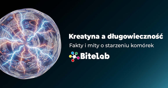 Kreatyna a długowieczność i starzenie komórek