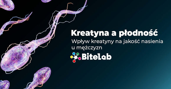 Kreatyna a płodność i jakość nasienia u mężczyzn