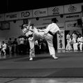 anka.kecik